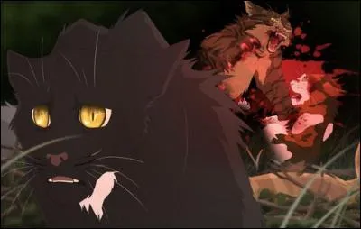 Le pauvre a assisté à un crime !