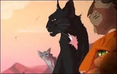 Qui sont les élus ?