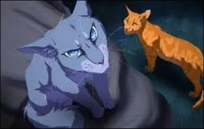 Il ou elle est fâché(e) contre le Clan des Étoiles. C'est :