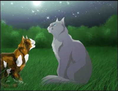 Une jolie guérisseuse du Clan du Tonnerre...