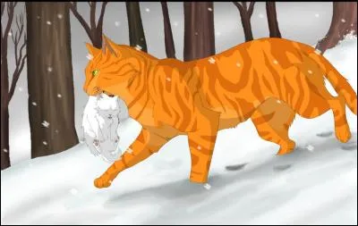 Il est sang-mêlé. C'est :