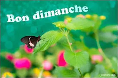 Comment traduit-on "dimanche" en anglais ?