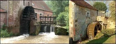 On sait que le trébuchet est une machine de guerre du Moyen-Age. Mais ce terme (« trébuchet ») a plusieurs autres significations.
A vous de trouver qu'elle est la MAUVAISE définition de ce terme ?