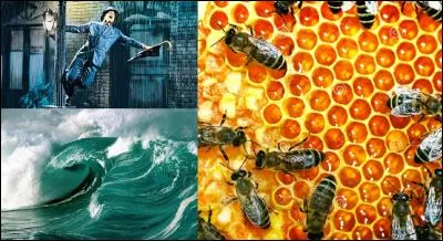 Connaissez-vous le « thalassomeli » ? Non, je ne le pense pas. Pour vous aider, je peux vous dire que c'est un ancien terme médical, ou plus probablement, de pseudo-médecine.
Que signifie le mot « thalassomeli » ?