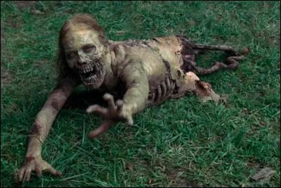 Ce rôdeur a été achevé par...