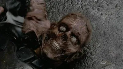 Ce rôdeur a été vu...