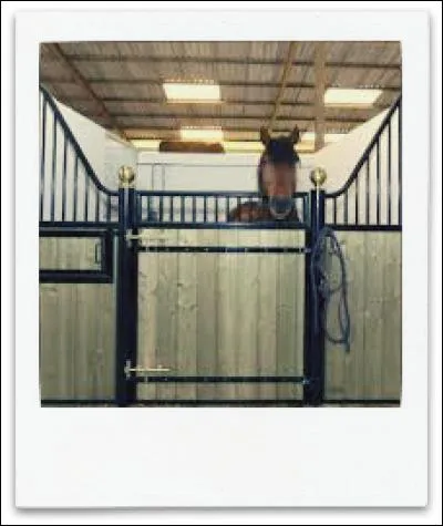 Les boxes se trouvent :