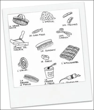 Quelle brosse utilise-t-on en 1er ?