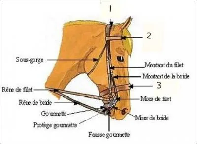 Quel est le nom de la partie n°1 ?