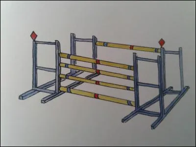 Comment se nomme cet obstacle ?