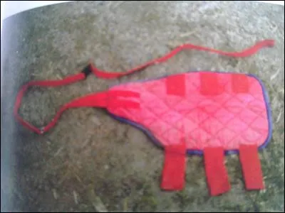 À quoi sert cet objet ?