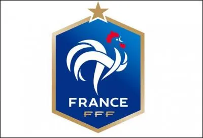 Parlons de carrière internationale : en quelle année gagne-t-il avec l'équipe de France des moins de 19 ans ?