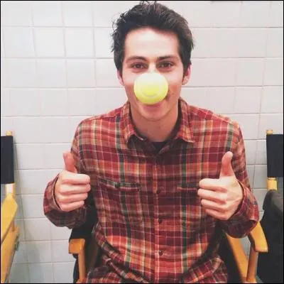 Quelle est sa taille ?