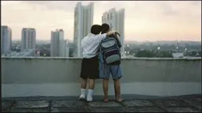 En quelle année est sorti le film en France ?