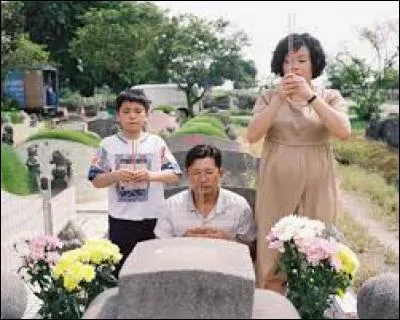 De quel pays est originaire la nounou ?