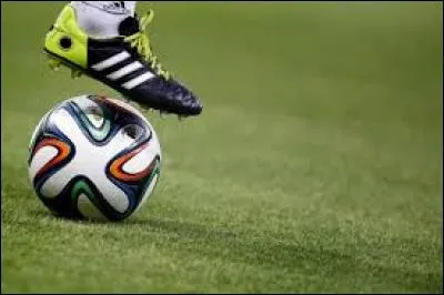 Qui va faire partie de l'équipe féminine de football ?