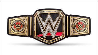 Qui détient le WWE World Heavyweight Championship ?