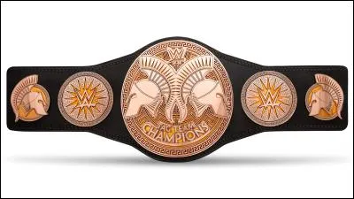 Qui possède le Tag Team Championship ?