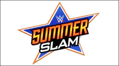 Quelle est la célébrité qui s'est battue avec Adrian Neville contre Stardust et Bad News Barrett (à Summerslam 2015) ?