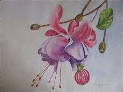 Parc où sont réunies de nombreuses espèces animales sauvages vivant dans des espaces clos, ayant pour but le divertissement, la conservation des espèces et la recherche scientifique :