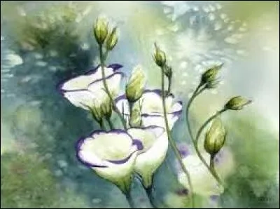 Fermeture à glissière :