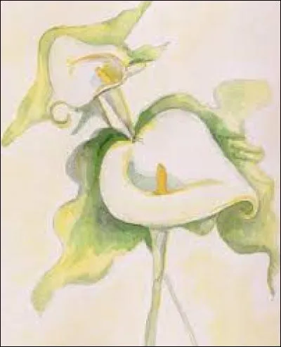 Poisson comestible (saint-pierre) :