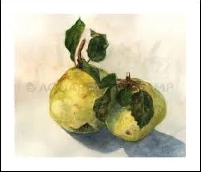 Qui vous appartiennent :