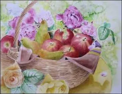 Mollusque gastéropode marin africain :