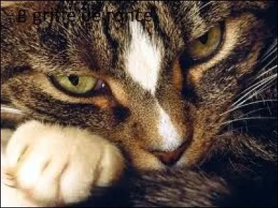 Il est le fils d'un meurtrier, sa sur est partie dans le clan de l'Ombre :