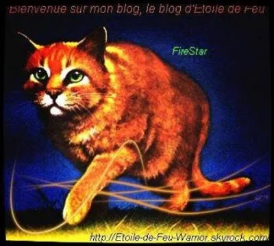 Il est le plus célèbre chef du clan du Tonnerre :