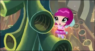 Quelle est cette Poppixie ?