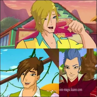 Qui sont les 3 spécialistes qui sont les petits amis de 3 princesses Winx ?