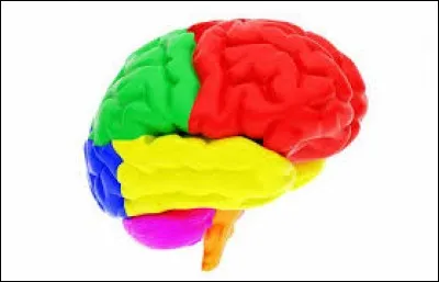 Toujours en vente aujourd'hui, comment appelle-t-on (en Belgique) le produit commercialisé par Play-Doh ?