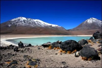 Les couleurs du drapeau bolivien sont le vert, le jaune et le...