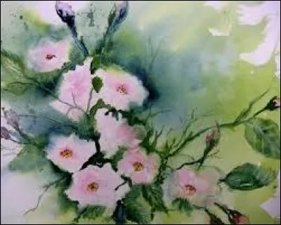 Galon, ganse, ruban, passement :