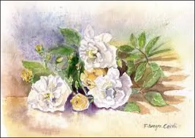 Homme grossier et brutal :