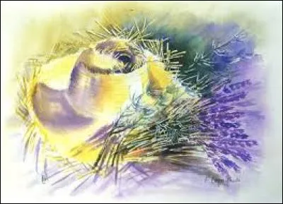 Béchamel aux oignons :