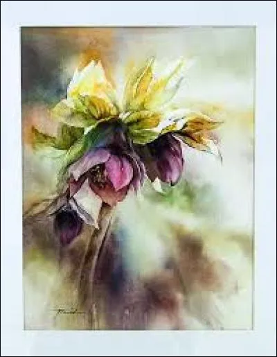 Au Québec, bouillie de farine d'avoine ou de maïs agrémentée de coulis de fruits ou de sirop d'érable :