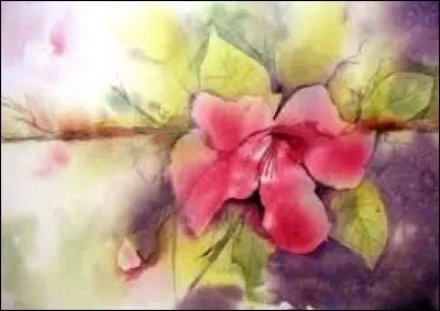 Familièrement, soutien-gorge :