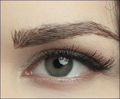 À qui appartient cet il ?