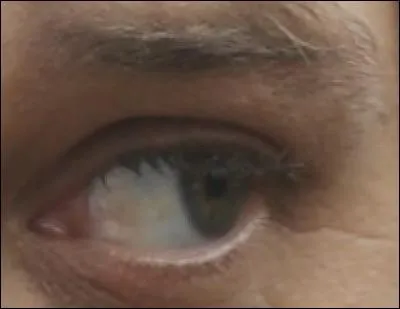 À qui appartient cet il ?