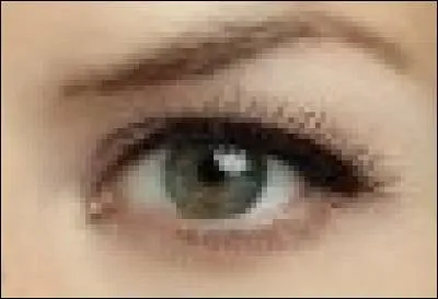 À qui appartient cet il ?