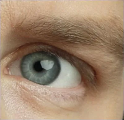 À qui appartient cet il ?