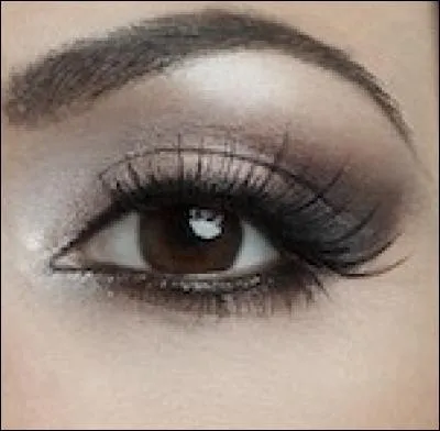 À qui appartient cet il ?