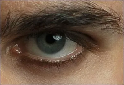 À qui appartient cet il ?