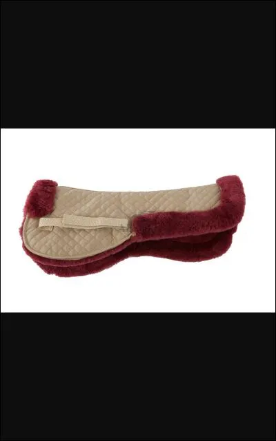 A quoi sert l'amortisseur ?