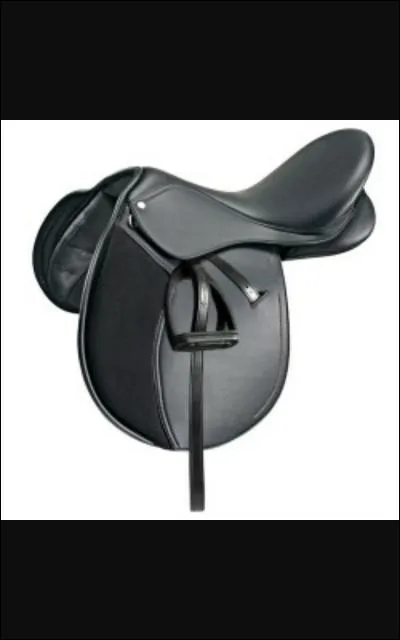 Combien existe-il de sortes de selles ?