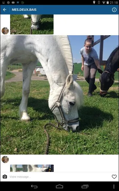 Que veut dire "avoir une crinière en brosse" ?
