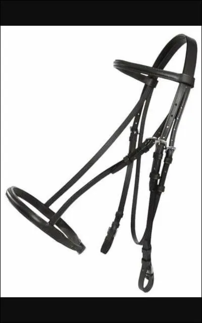 Quelle est la partie la plus importante sur le filet ?