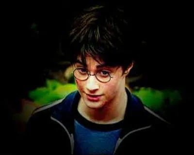 30 000 candidats ont envoyé des cassettes d'auditions pour le rôle d'Harry Potter.